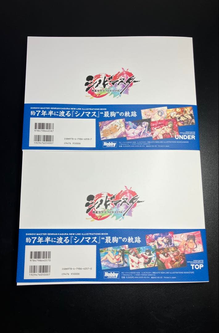 シノビマスター 閃乱カグラ NEW LINK ILLUSTRATIONS