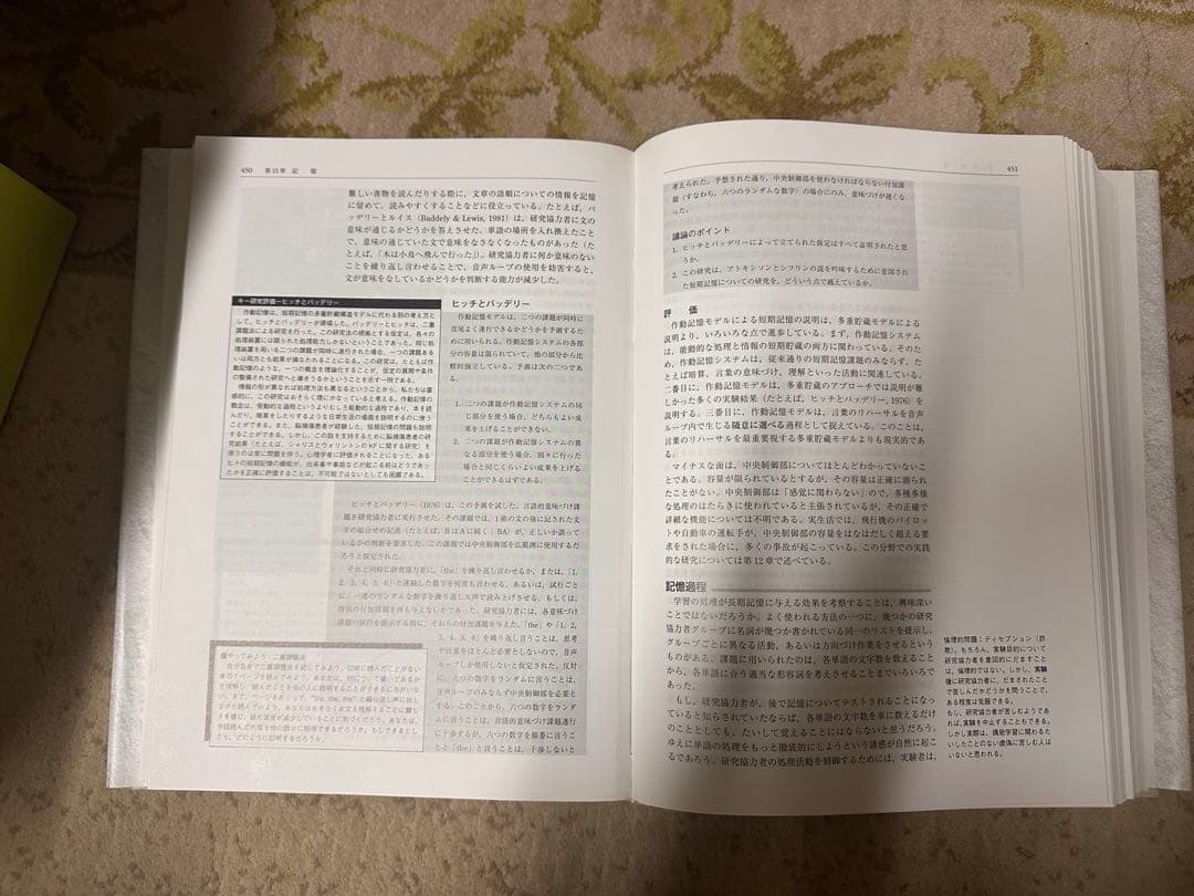 「心理学」 アイゼンク教授の心理学ハンドブック