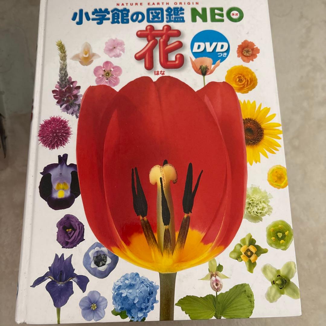 講談社MOVE＋小学館NEO 図鑑 10冊まとめセット