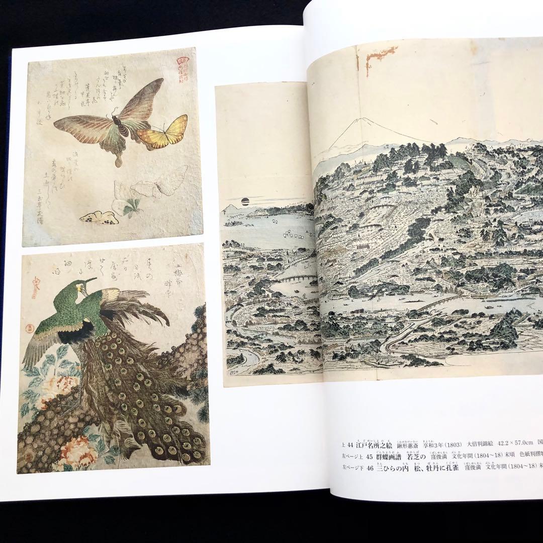 「日本美術全集 第15巻 江戸時代IV 浮世絵と江戸の美術」月報付