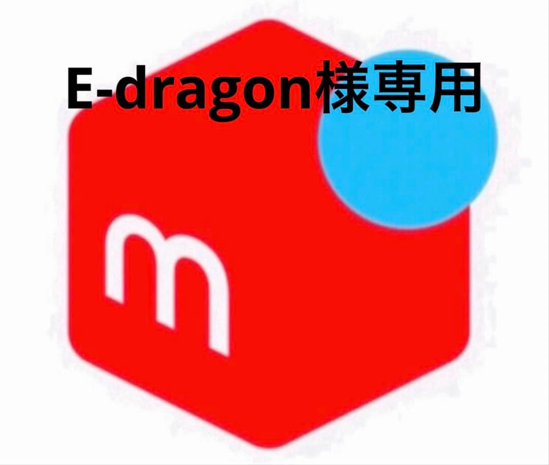 その他 E-dragon