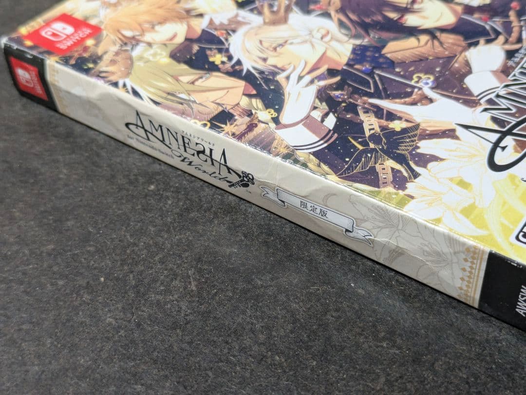 AMNESIA World Switch 限定版 訳あり