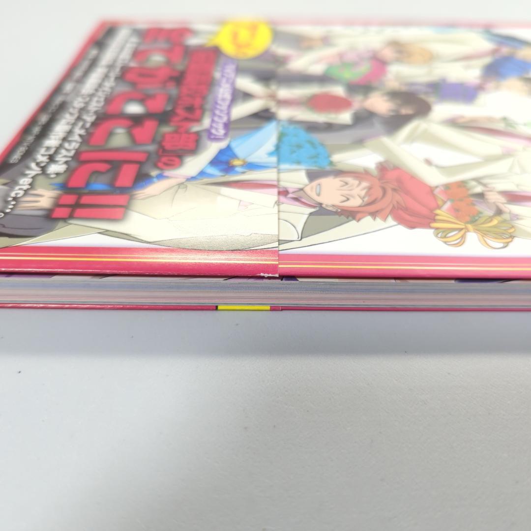 【初版・帯付】桜蘭高校ホスト部 アニメファンブック