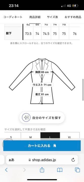 adidas ゴルフウェア　３点セット