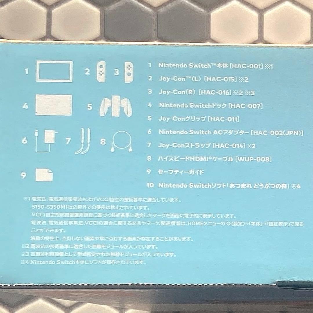 Nintendo Switch あつまれどうぶつの森セット ニンテンドースイッチ