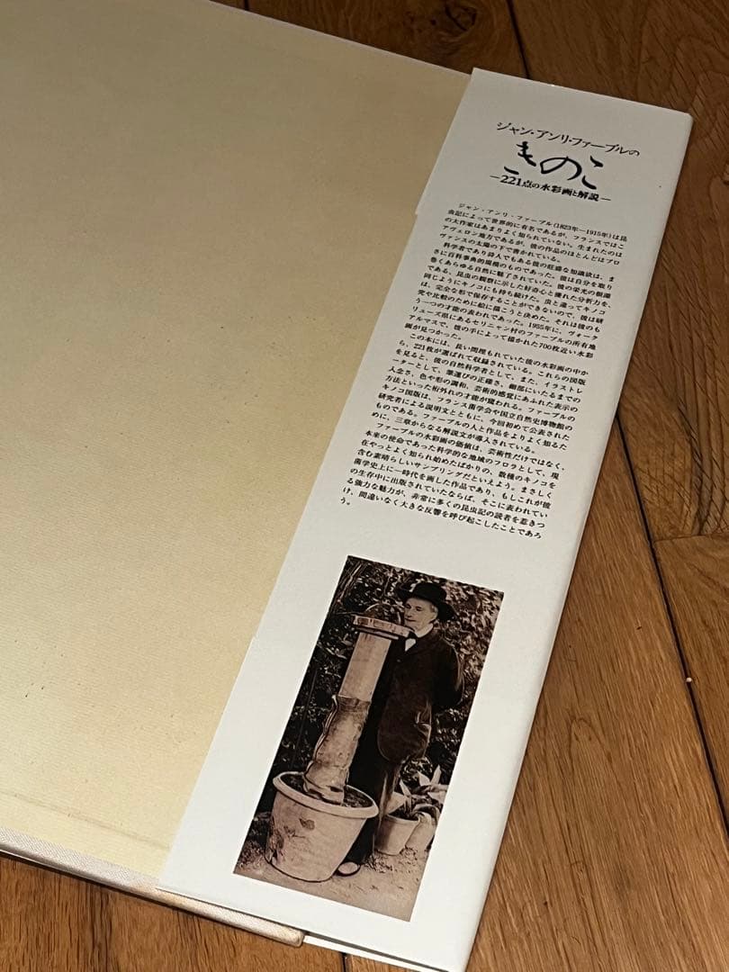 Les Champignons — 221点の水彩画と解説