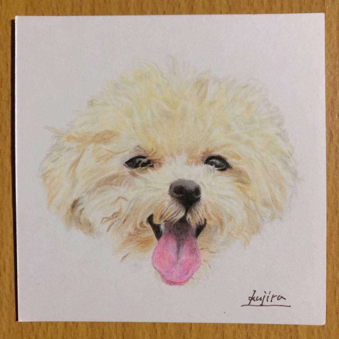 色鉛筆画　floorページ