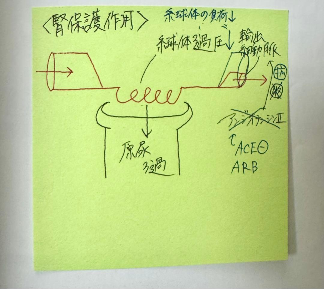 第110回 薬剤師国家試験対策参考書 青本 全巻セット
