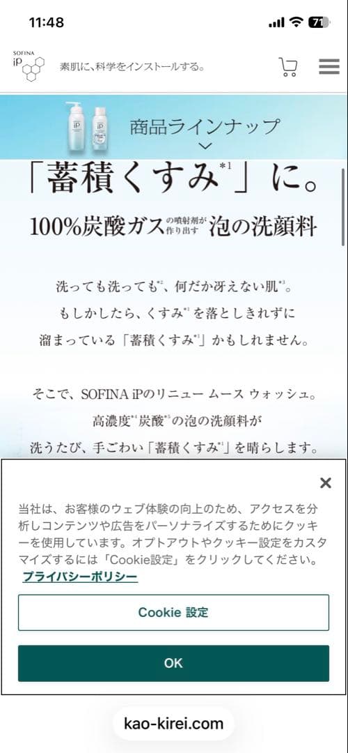 ☆専用SOFINA iP リニュームースウォッシュ 本体とレフィル2本