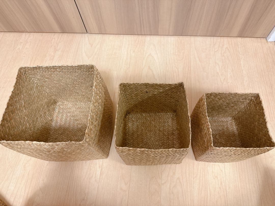 カチュー 水草 バスケット タイ 3個セット