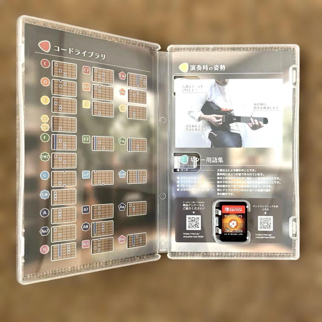 Nintendo Switch GUITAR LIFE Nintendo Switch