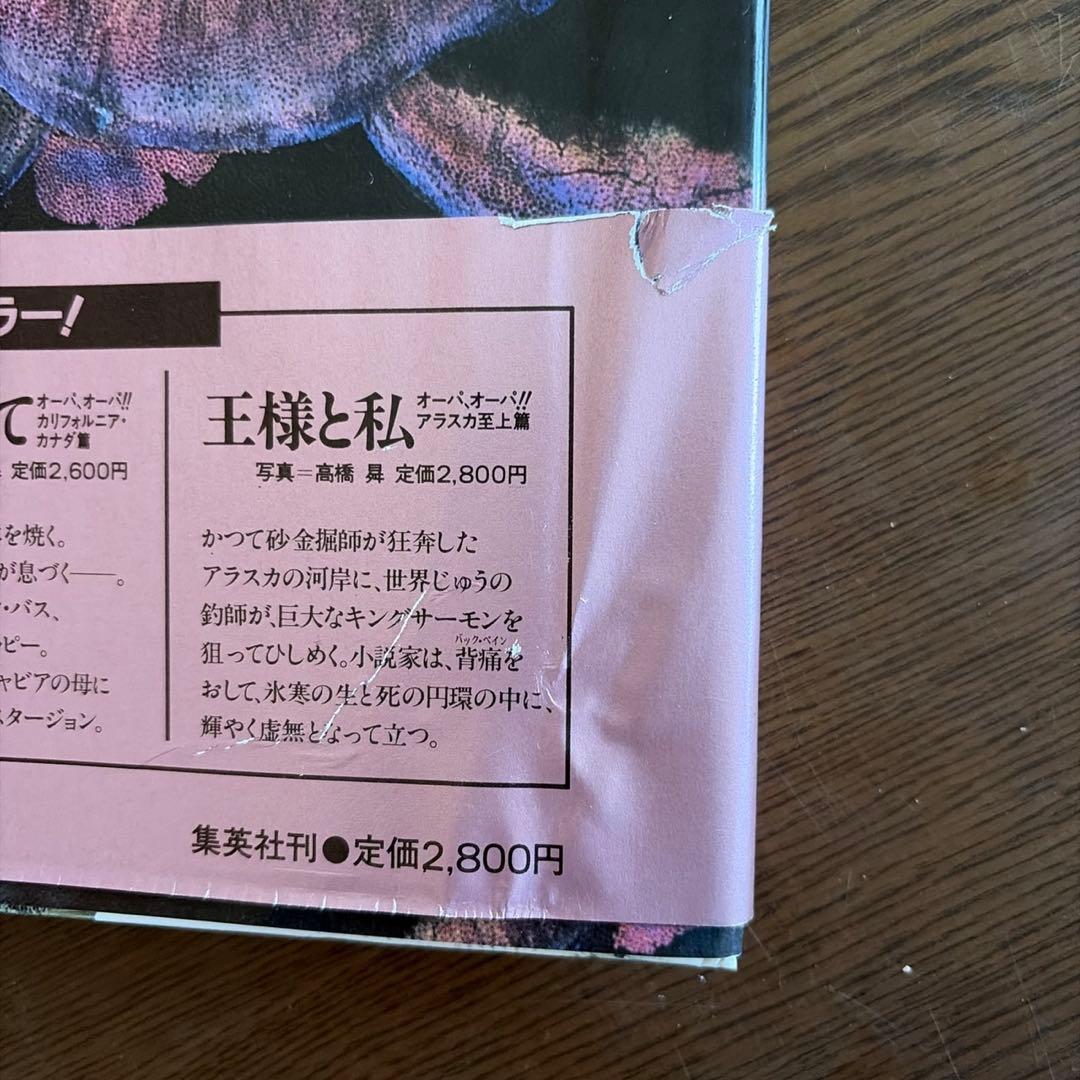 開高健「オーパ！オーパ！」シリーズ他9冊セット
