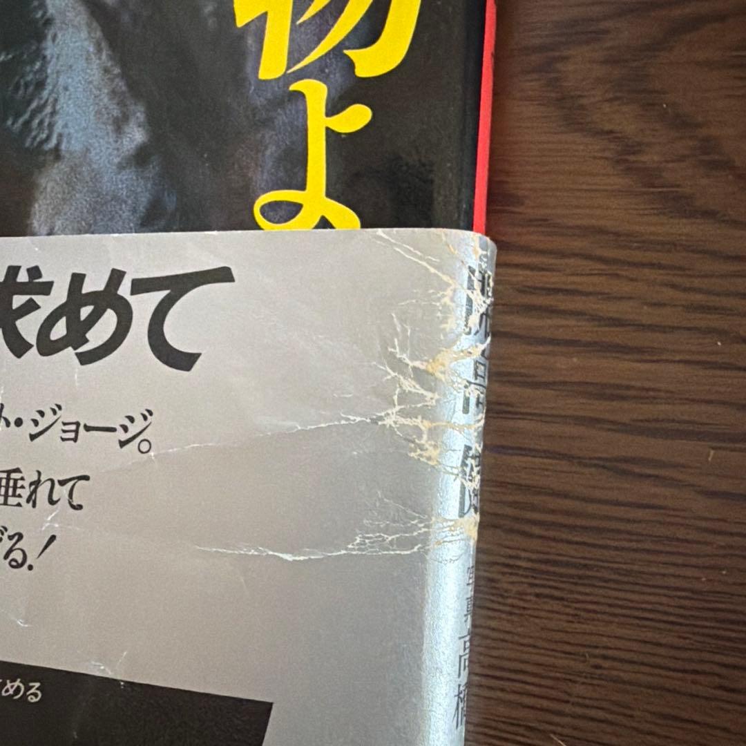 開高健「オーパ！オーパ！」シリーズ他9冊セット