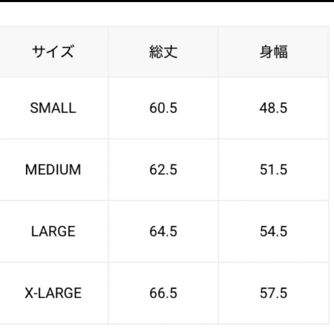 SHIPS別注　TAIONダウンベスト