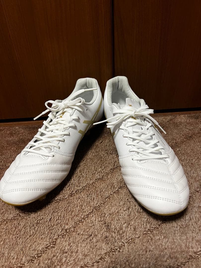 値下げ‼️ASICS DS LIGHT X-FLY PRO 26.5