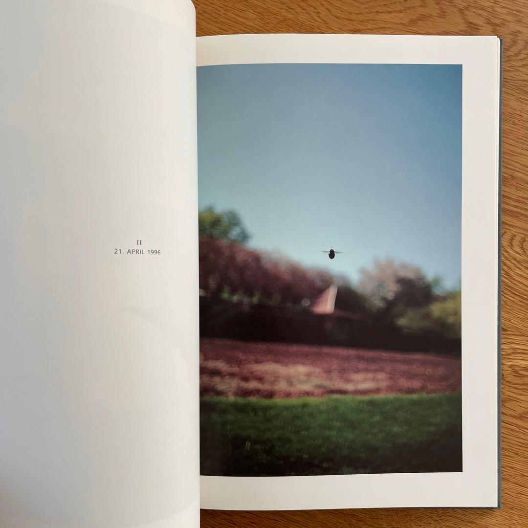 テリ・ワイフェンバック写真集　In Your Dreams