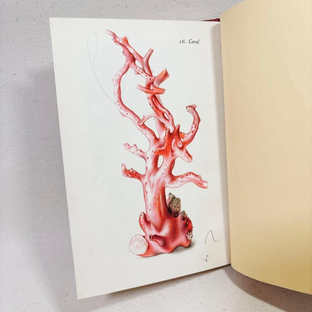 鉱石 洋書 1952年 ハードカバー 蔵書印あり 549
