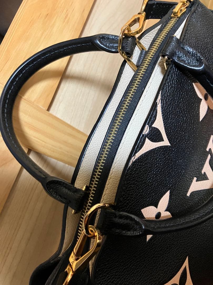 ルイヴィトンアンプラントベージュ中古美品 正規品