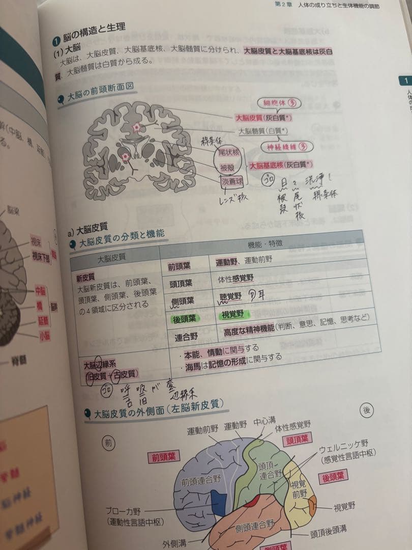 【ねむ】薬ゼミの要点集　全9科目