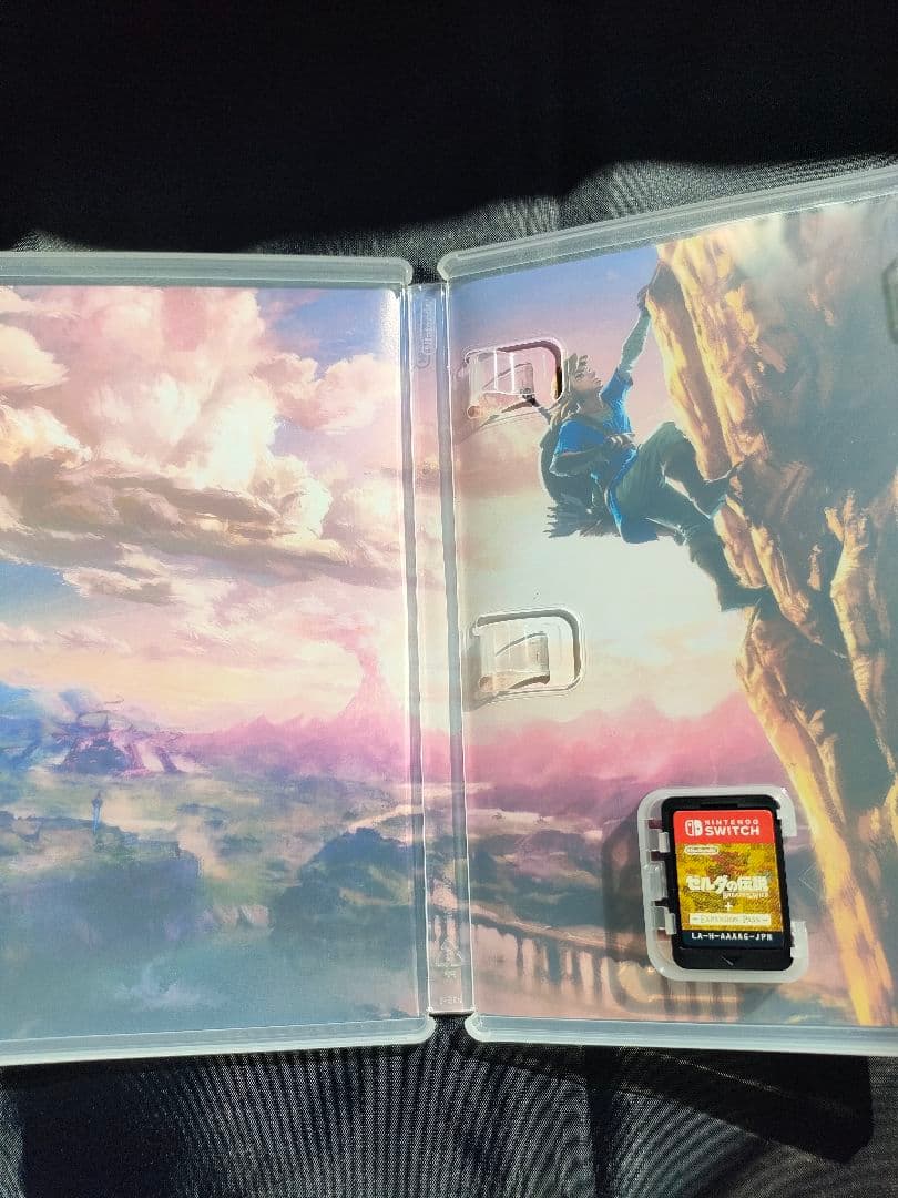 ゼルダの伝説 ブレス オブ ザ ワイルド　エキスパンション