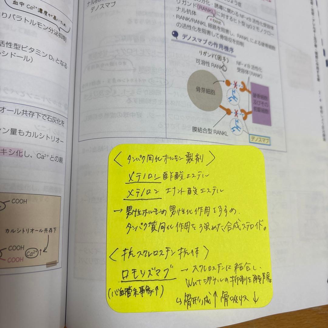 薬ゼミ 要点集 9冊セット