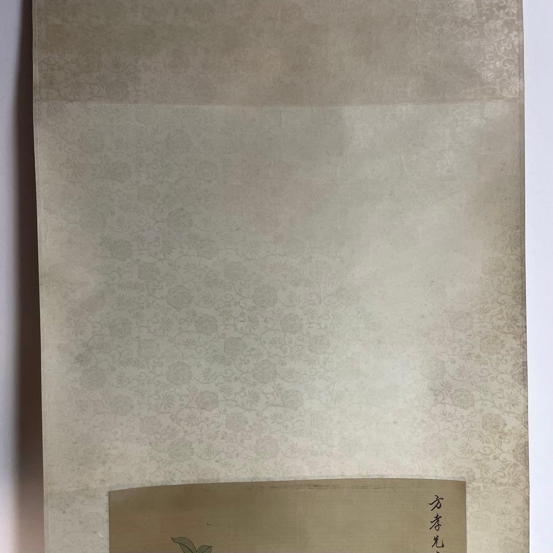 中国画 中国 掛軸 花鳥 蝶 朝顔 まとめ