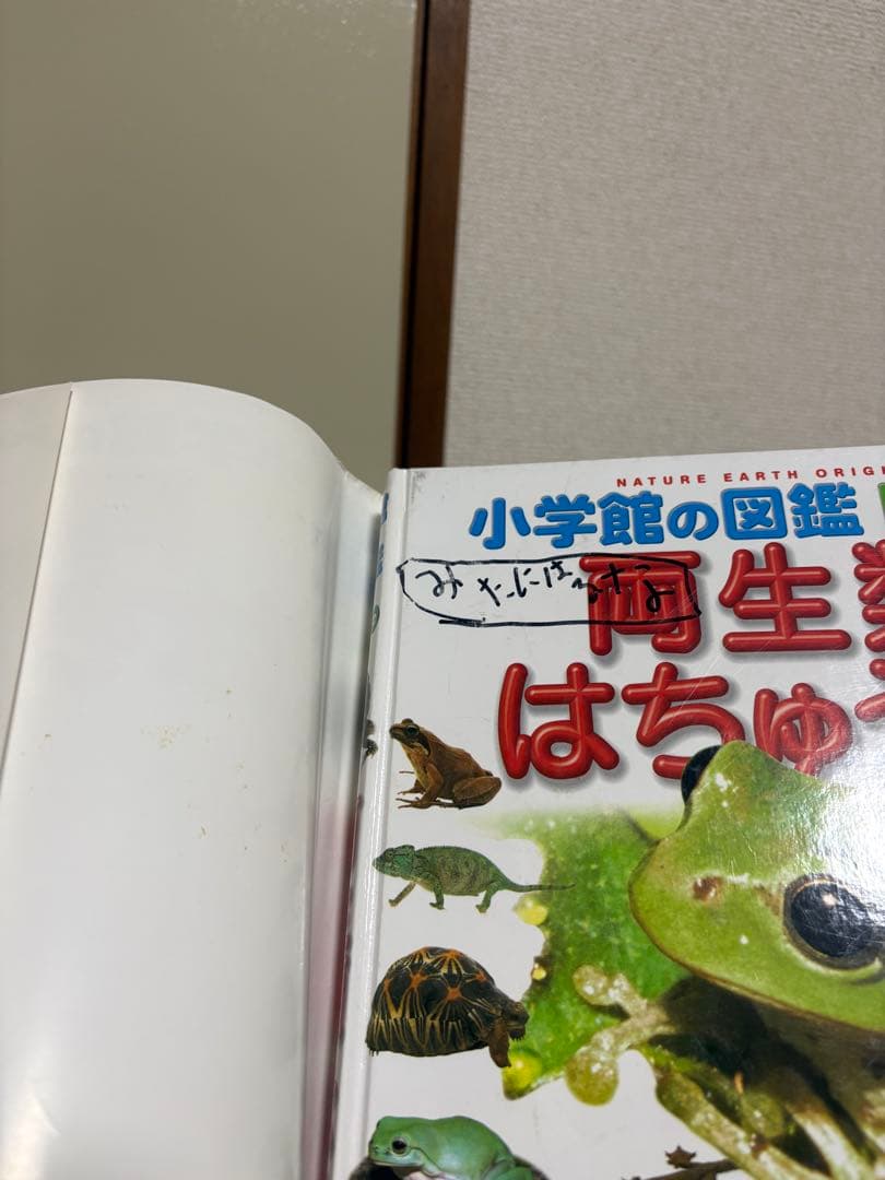【みど】小学館の図鑑NEO 17冊セット