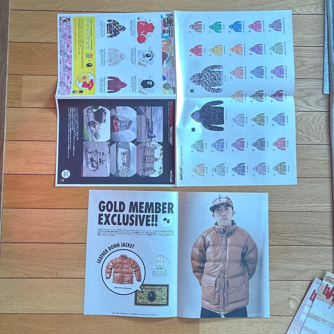 bape paper 参考用