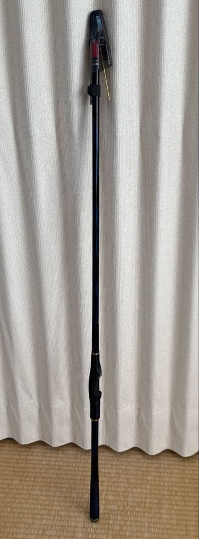 ダイワ　21メガディスAGS1.25-53