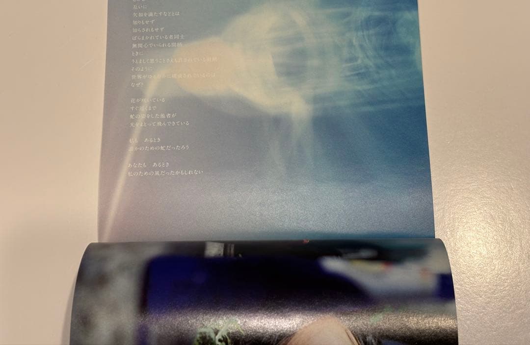 空気人形 DVD 豪華版 初回限定版 2枚組 是枝裕和
