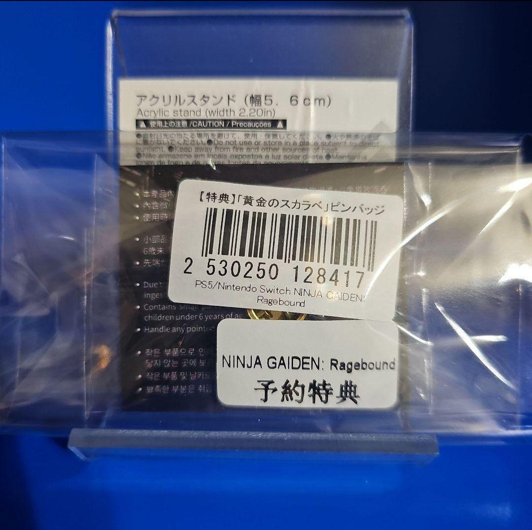 SWITCH NINJA GAIDEN Ragebound 特典付き 【新品】