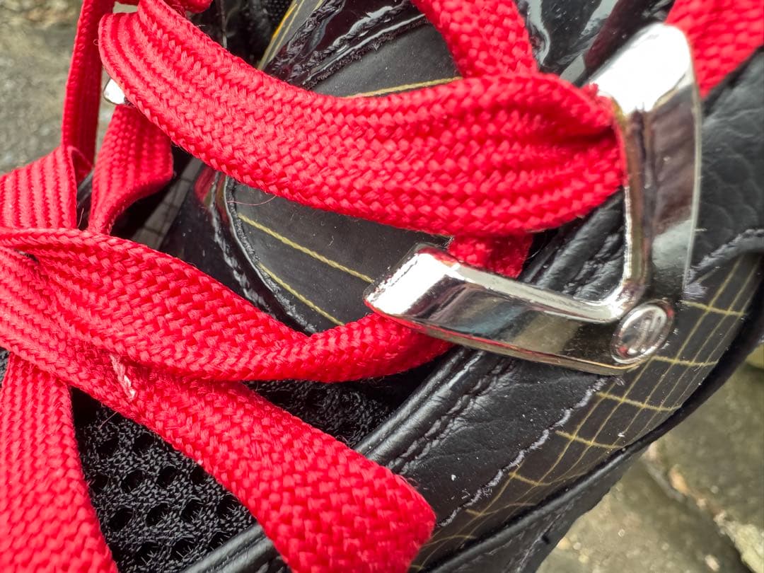 Nike レブロン #バッシユ #ナイキ 箱付き