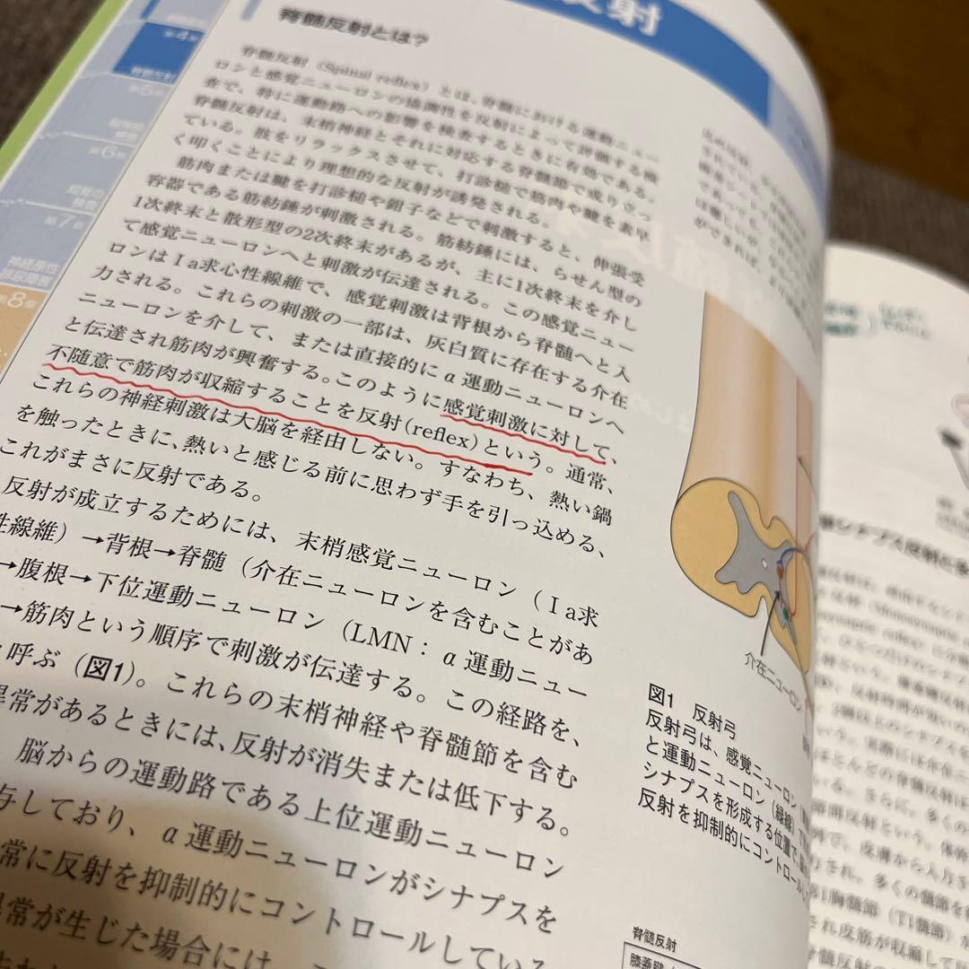 12／15まで値下げ！今すぐ実践!神経学的検査と整形外科学的検査のコツ