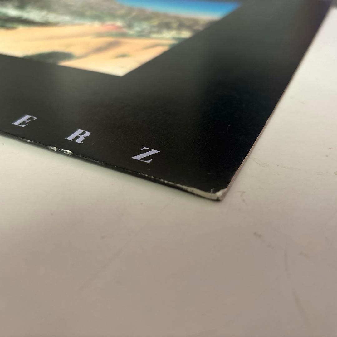 THE ROOSTERZ Four Pieces LP ルースターズ レコード