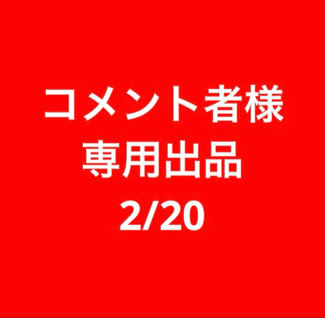 コメント者2/20