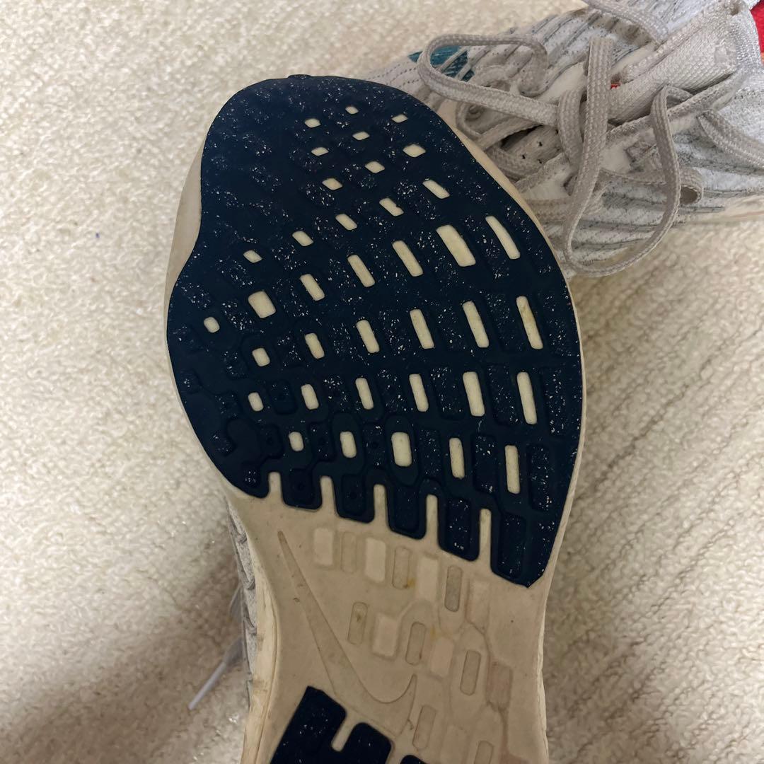 NIKE ペガサスターボネイチャー26,0cm