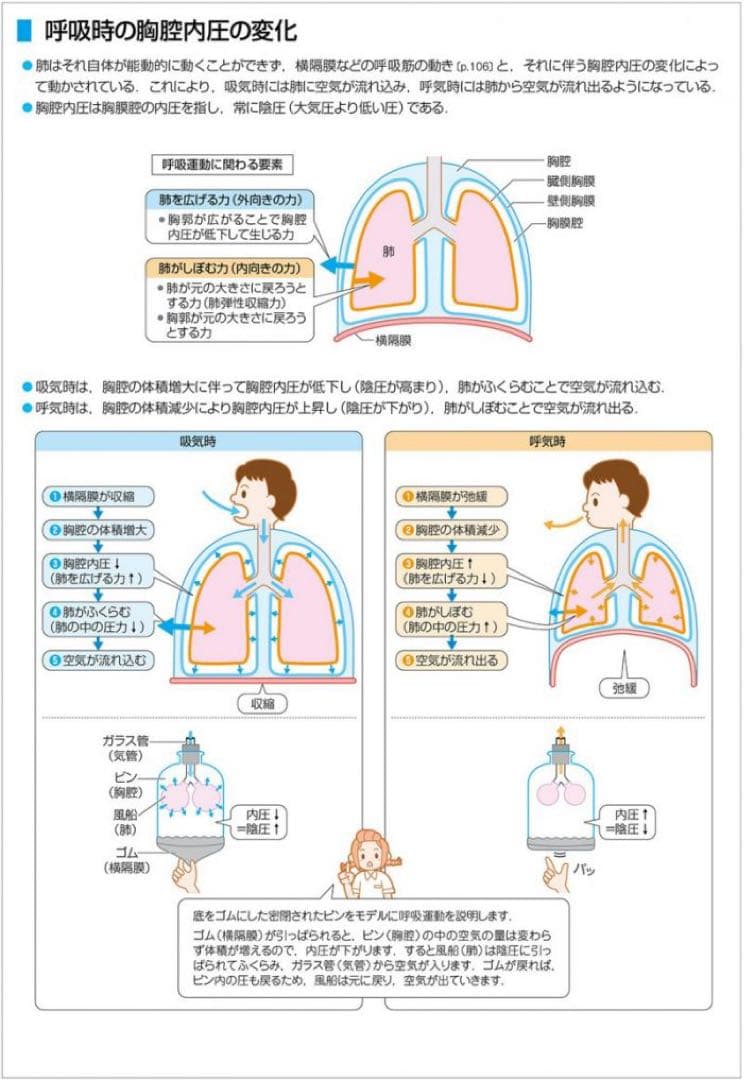看護がみえる 全5巻セット