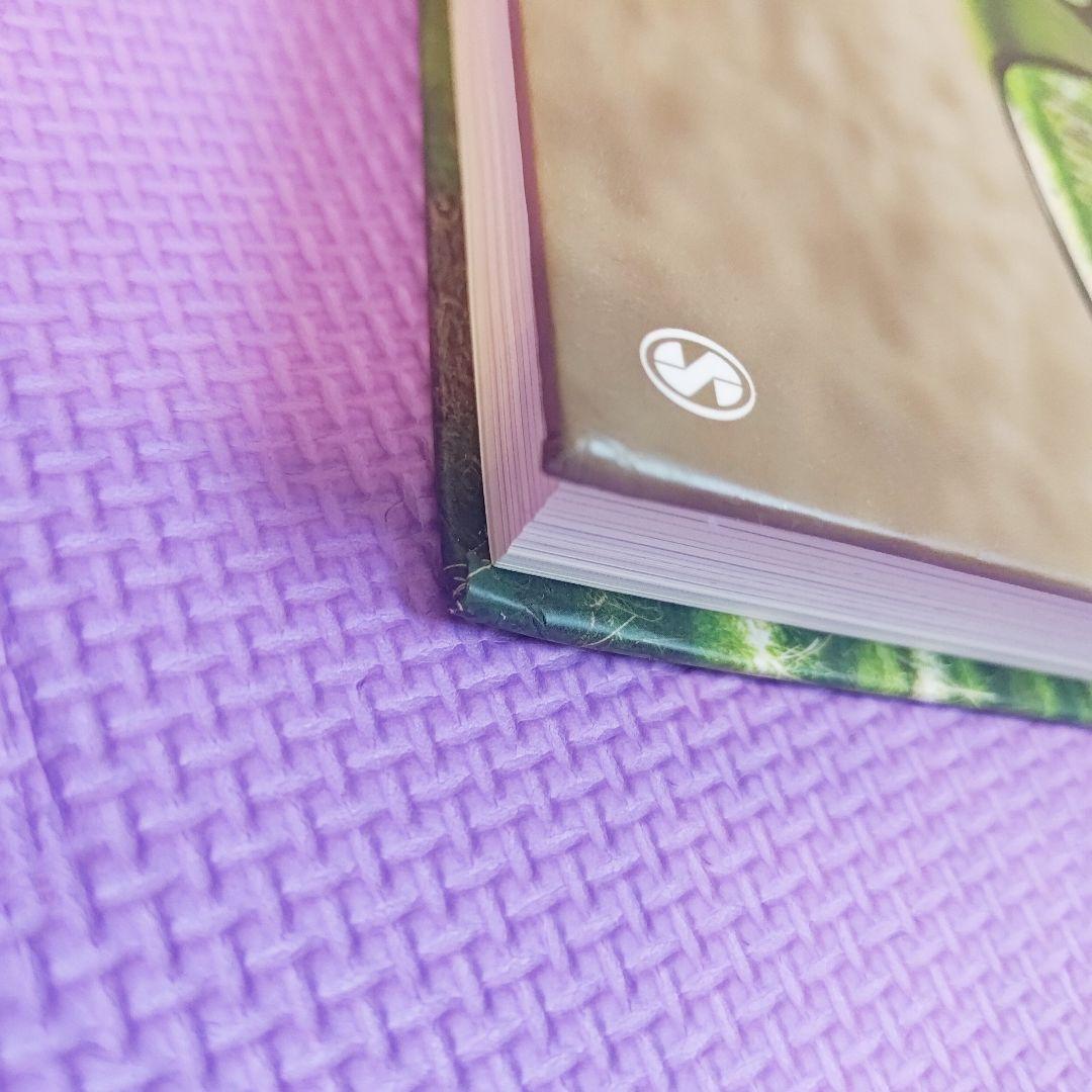 [美品]Sensation & Perception 2nd edition