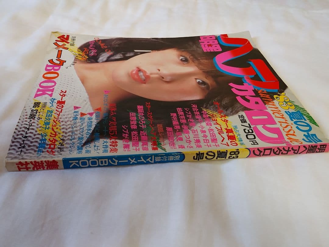 明星ヘアカタログ '83 夏の号　 希少品　レア