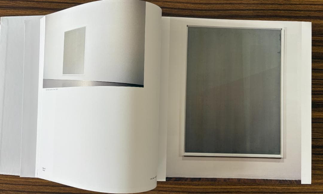 Wolfgang Tillmans Saturated Light ティルマンス
