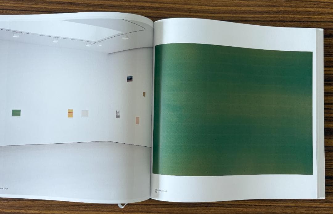 Wolfgang Tillmans Saturated Light ティルマンス