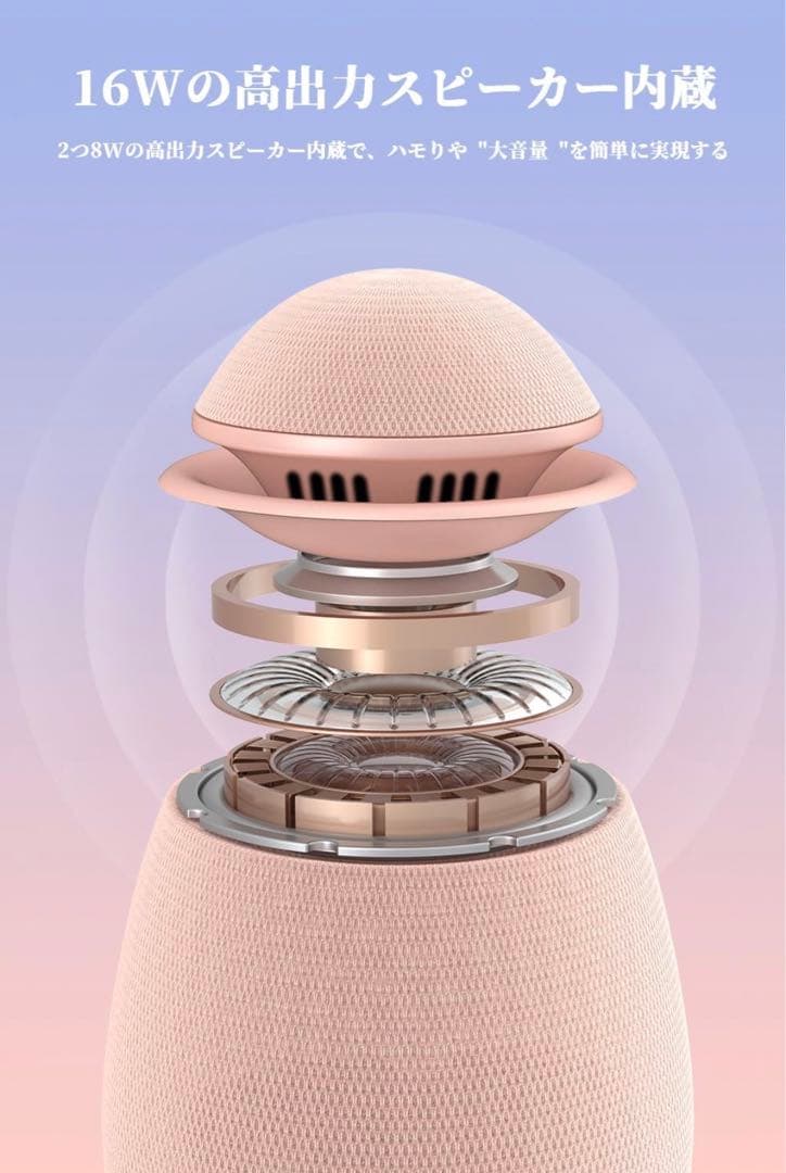 はる　Philips (フィリップス) カラオケマイク