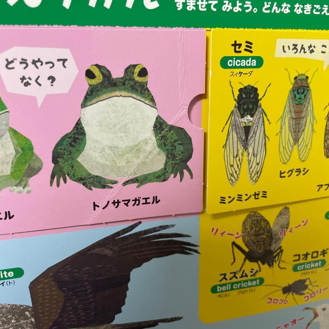 本日限定価格　プレneo 小学館の図鑑neo まどあけずかん　セット