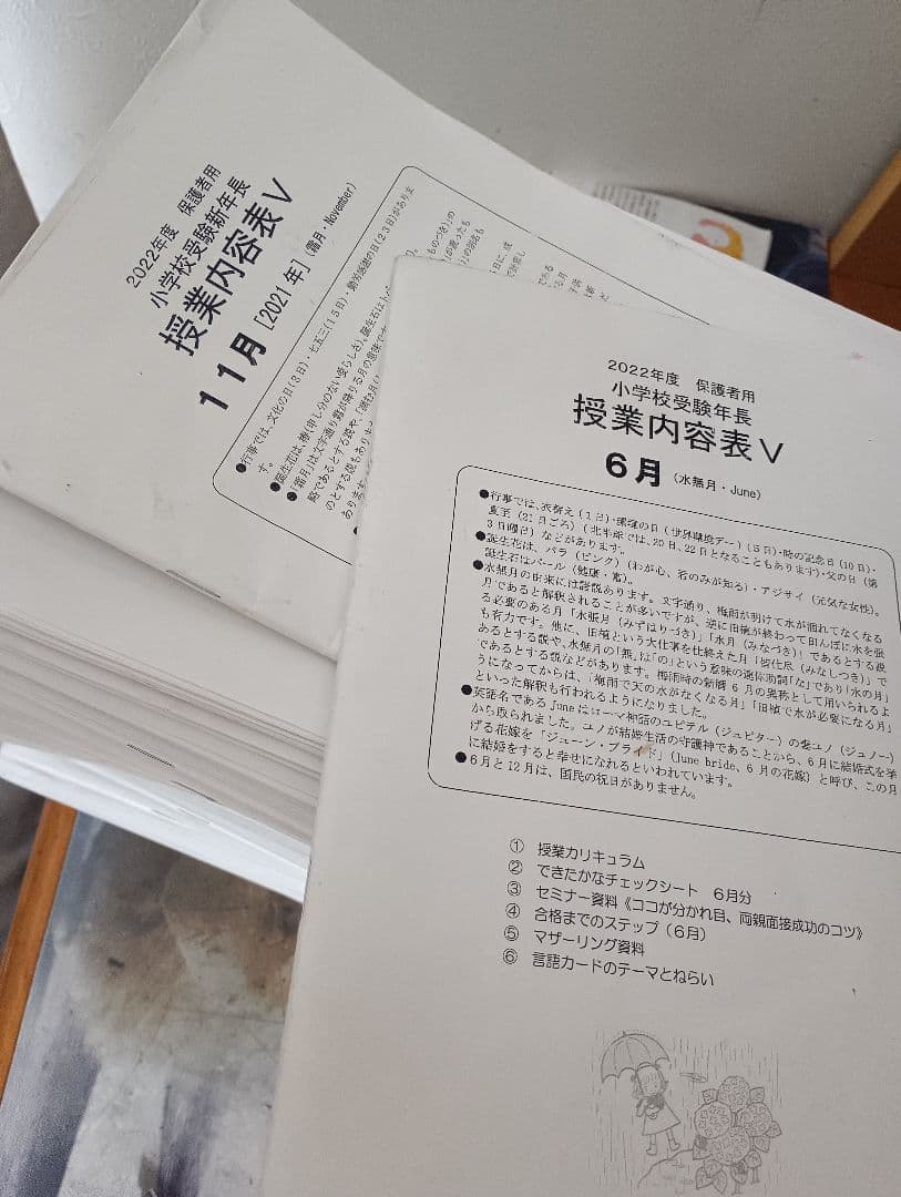 理英会全年間授業内容表＆プリントVロング+年長総合集中 夏期講習+個別課題お受験