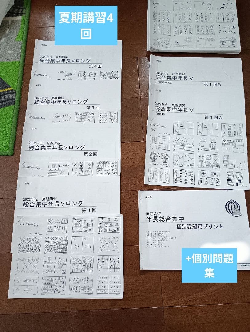理英会全年間授業内容表＆プリントVロング+年長総合集中 夏期講習+個別課題お受験