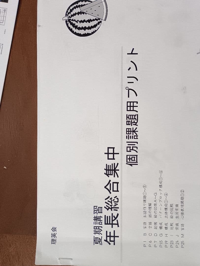 理英会全年間授業内容表＆プリントVロング+年長総合集中 夏期講習+個別課題お受験