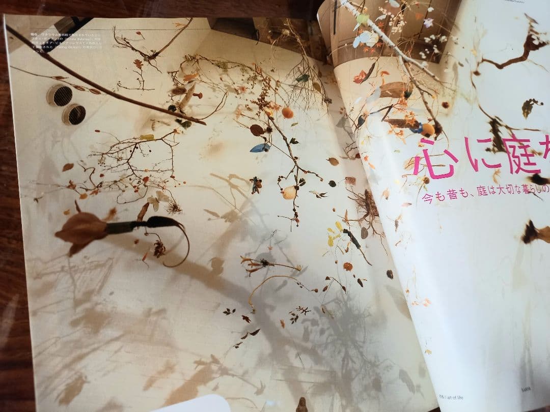 Luca　エクスファイア日本版7月号臨時増刊　雑誌