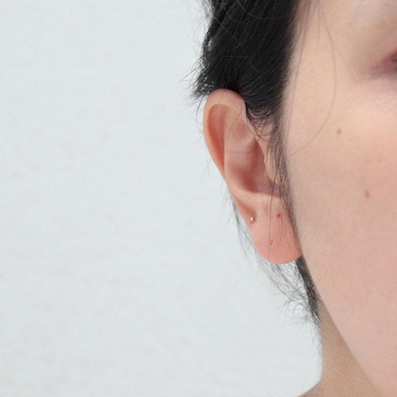 Kathleen Whitaker バーベル　ピアス 14金　SOURCE
