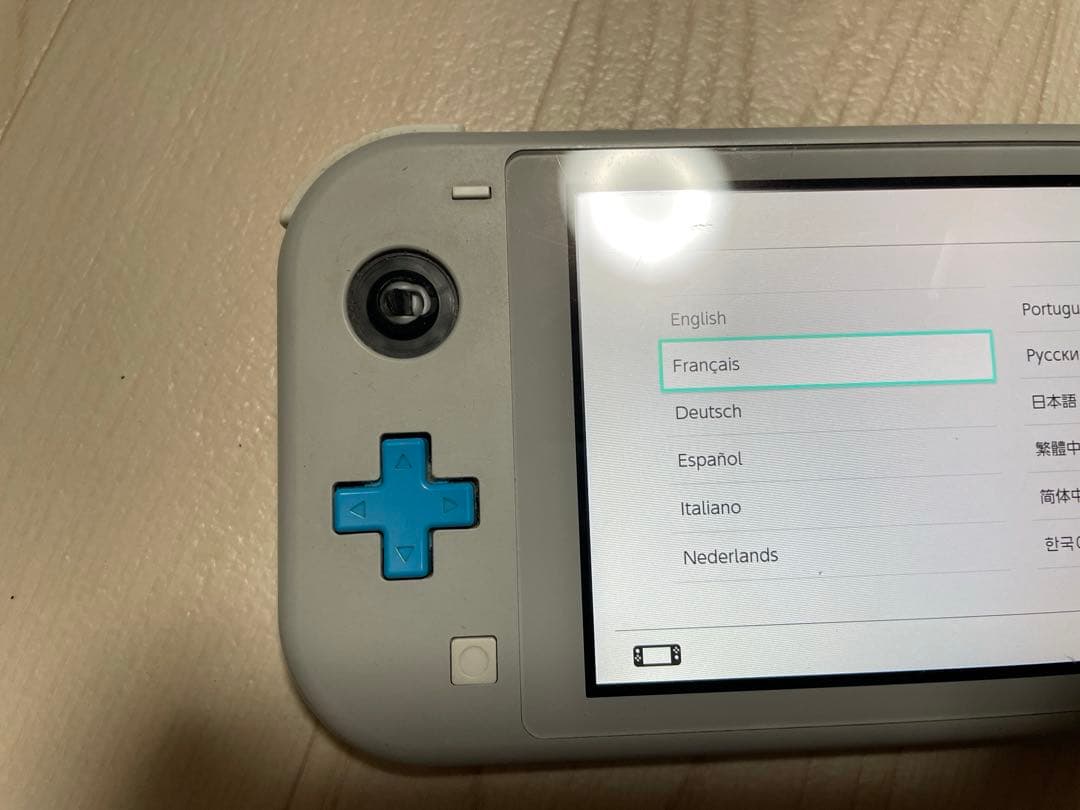 Switchライト ジャンク 本体