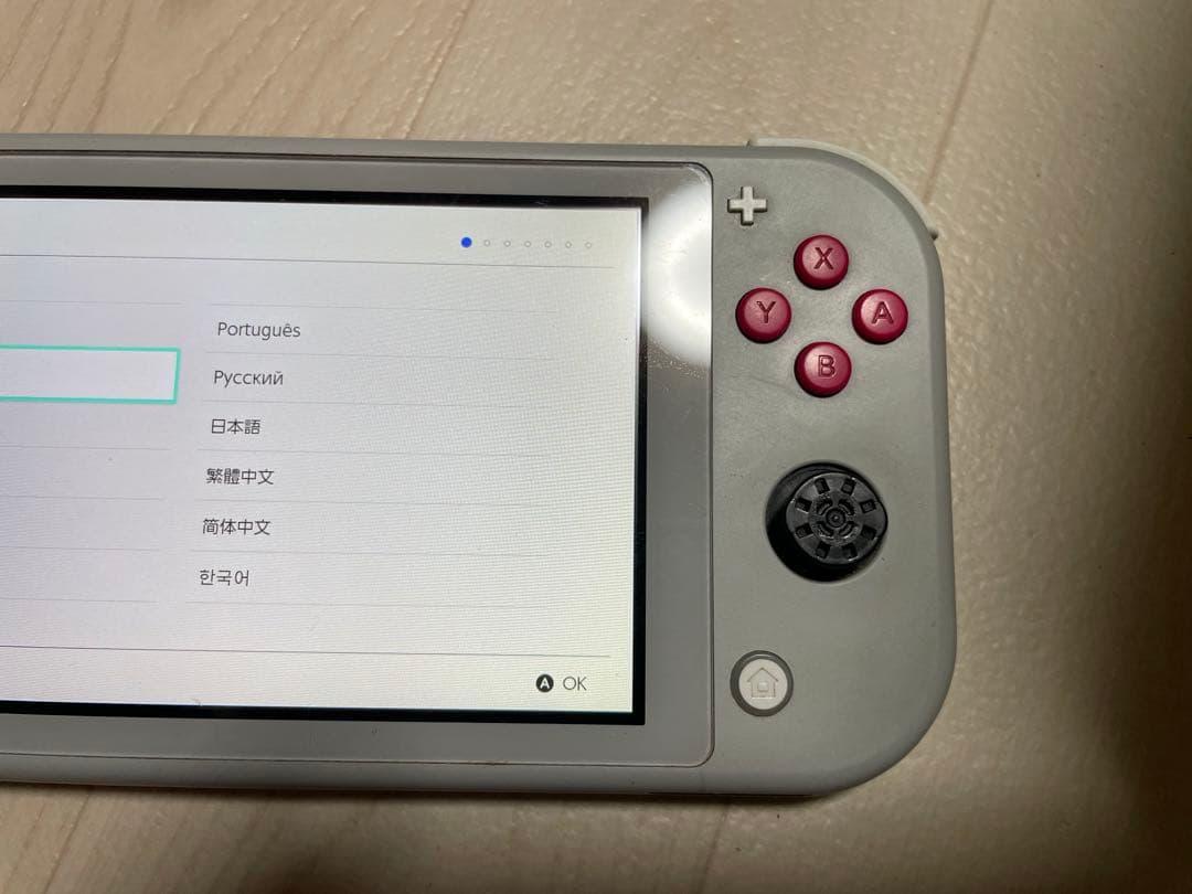 Switchライト ジャンク 本体